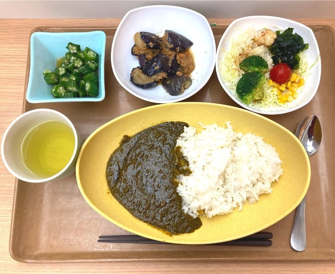 Vegan menus at the University of Tokyo - Example