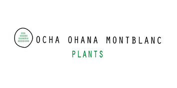 OCHA OHANA MONTBLANC