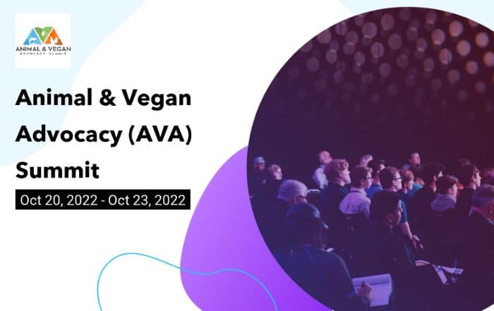 ヴィーガンの国際サミット Animal & Vegan Advocacy Summit に代表の川野が登壇