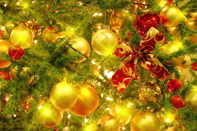 クリスマス会！300人でヴィーガンブッフェと音楽ライブを楽しもう☆