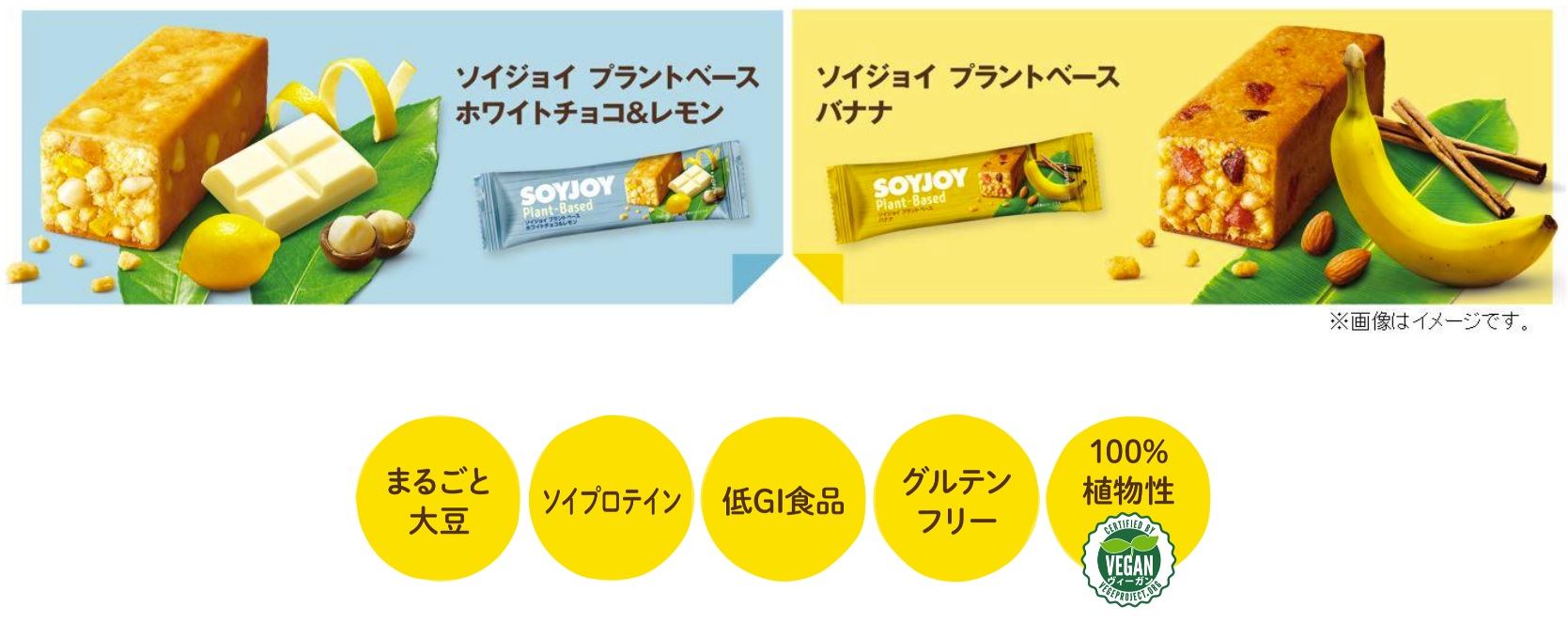 Vegan SOYJOY