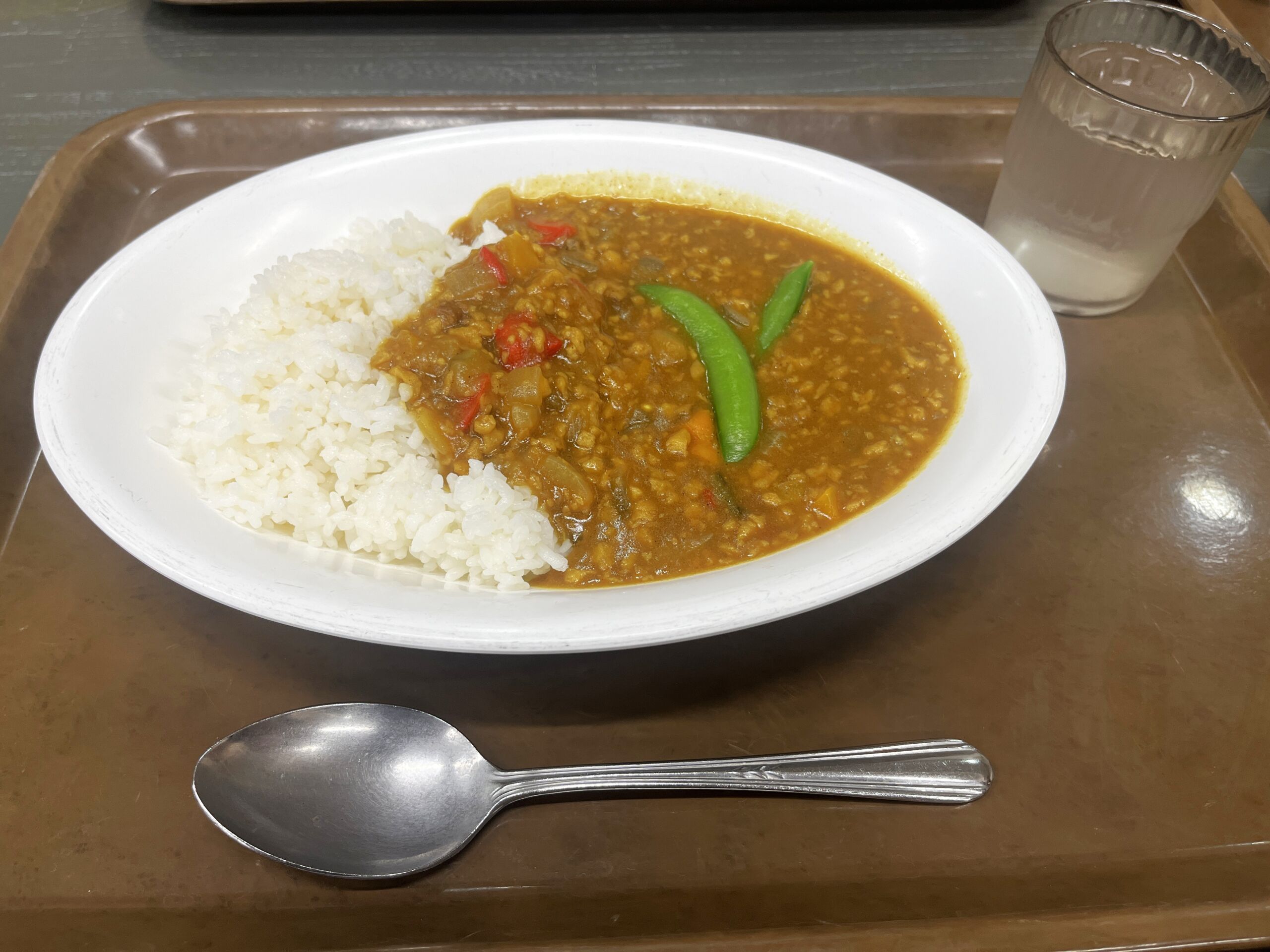 Photo of the vegan keema curry served at Kita City Office